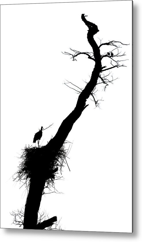 Storch Metal Print featuring the photograph Storch Silhouet by Jan Dolfing