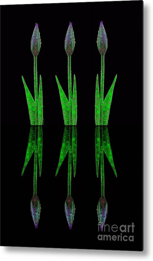 Tulips Metal Print featuring the digital art Stylized Tulip Garden by Diana Rajala