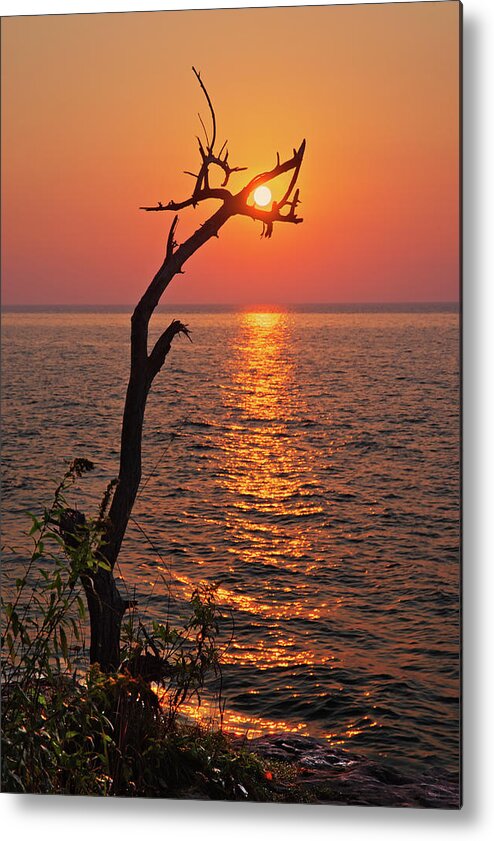 Sun Wi Cave Point Park Door County Lake Michigan Alignment Metal Print featuring the photograph SunCatcher - Dead tree grasps the rising sun at Cave Point Park in Door County WI by Peter Herman