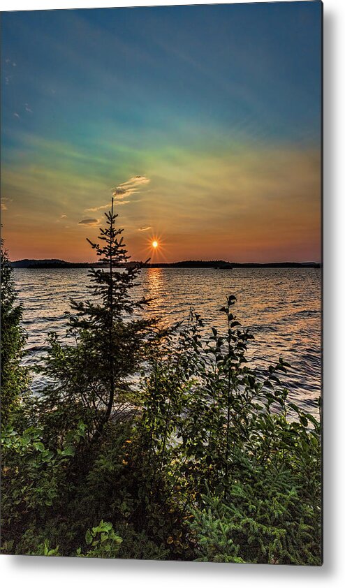 Dog Lake Metal Print featuring the photograph Sunset pine by Joe Holley