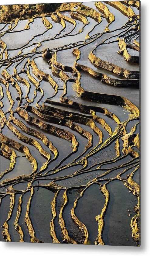 Scenics Metal Print featuring the photograph Terraces by Ghostmonger's