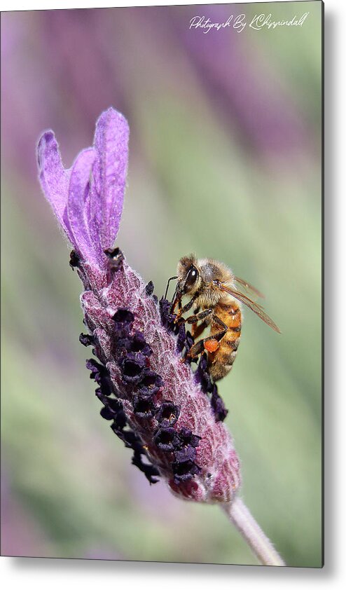 Bees Metal Print featuring the digital art The beauty of nature 99943 by Kevin Chippindall