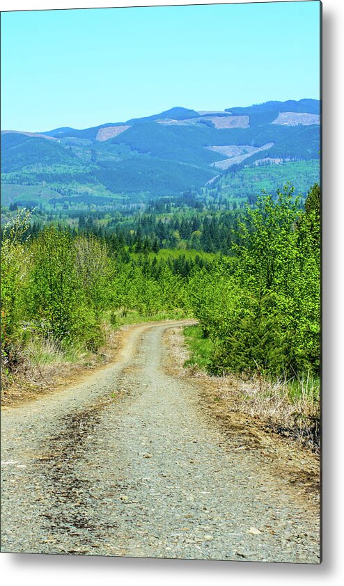 Road Metal Print featuring the photograph The Road Not Taken by Tikvah's Hope