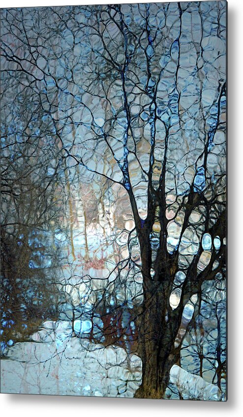 Tree Metal Print featuring the photograph The Subdued Tree by Tara Turner