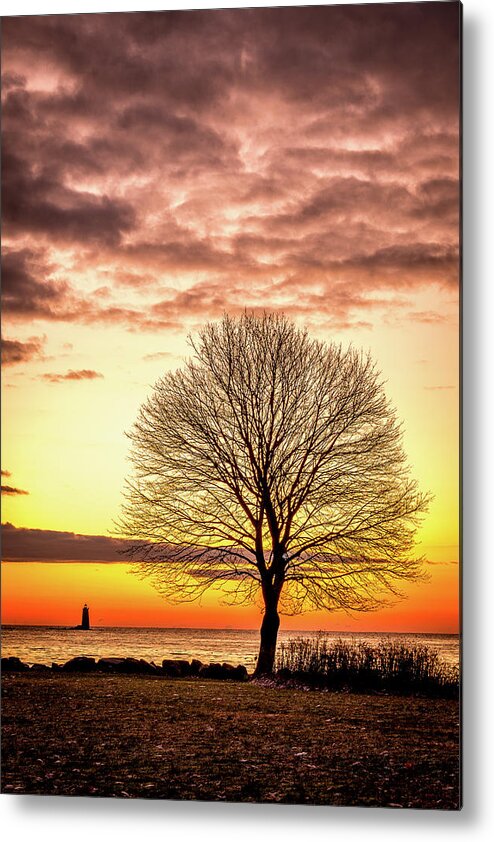 New Hampshire Metal Print featuring the photograph The Tree by Jeff Sinon