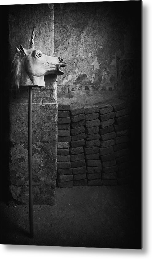 Horse Metal Print featuring the photograph The Unicorn by Roswitha Schleicher-schwarz