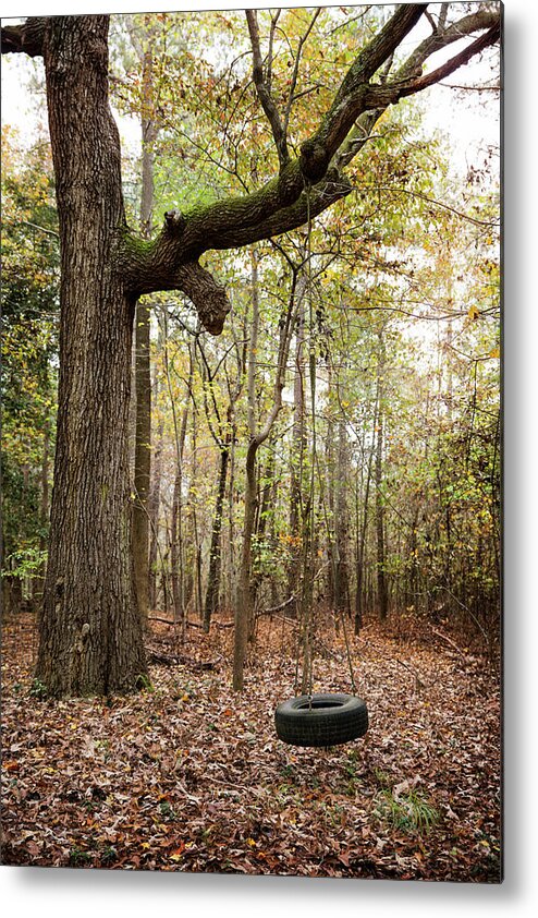 Tire Swing Metal Print featuring the photograph Tire Swing Hanging In Forest by Cavan Images