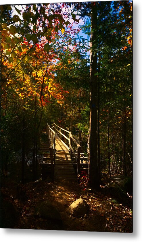 Fall Metal Print featuring the photograph Trail Bridge by Amanda Jones
