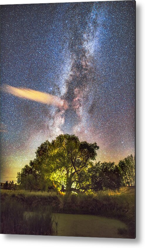 Stars Metal Print featuring the photograph Tree of Life by Jeremy Tamsen
