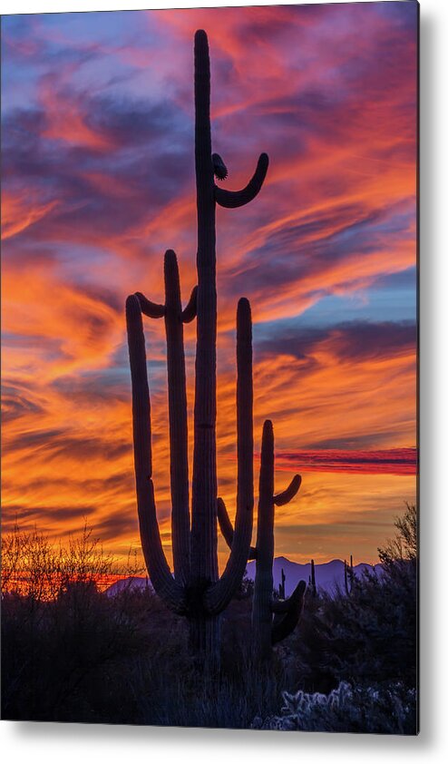 Twilight Metal Print featuring the photograph Twilight Fire by Gary Migues