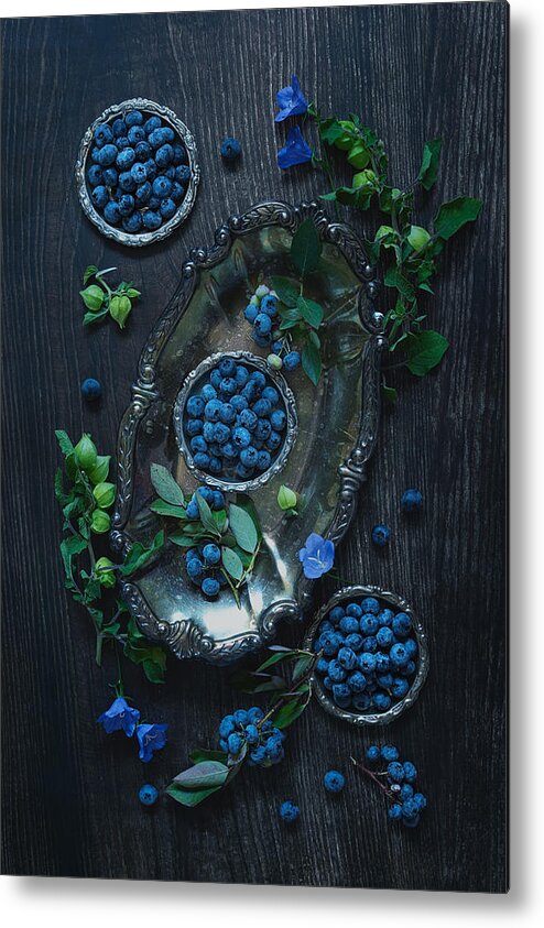 Blue Metal Print featuring the photograph U Pick Blueberries by Lydia Jacobs