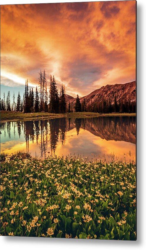 Uinta Metal Print featuring the photograph Uinta Fire by Wasatch Light