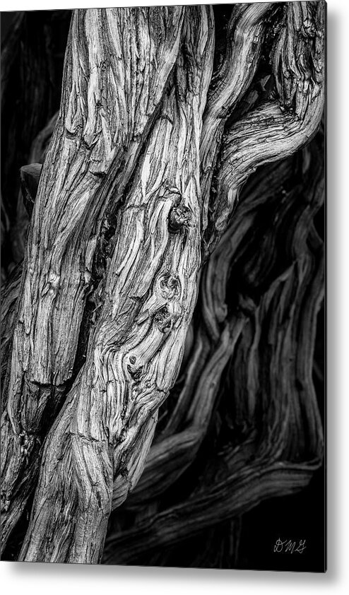 Abstract Metal Print featuring the photograph Untitled VIII BW by David Gordon