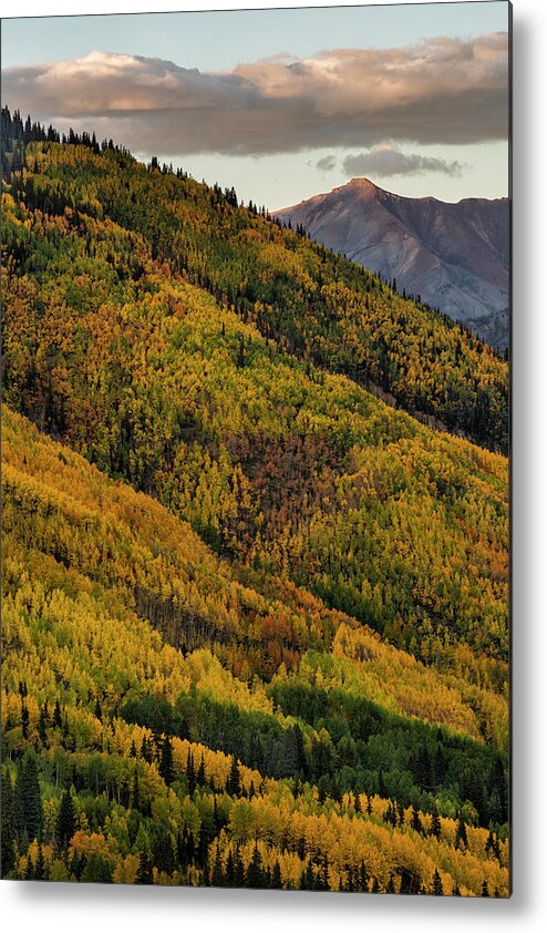 Colorado Metal Print featuring the photograph Vertical View Two by Denise Bush