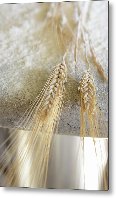 Kitchen Metal Print featuring the photograph Whole Wheat Dusted With Flour On by Steve Cicero