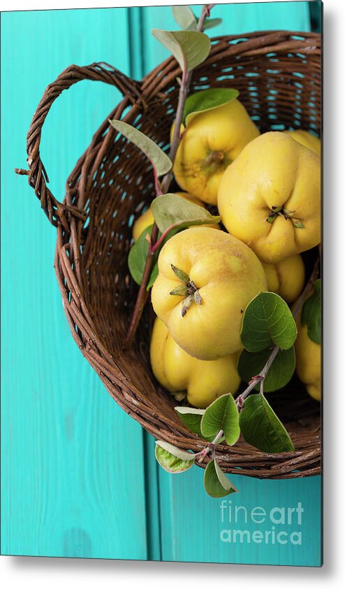 Quince Metal Print featuring the photograph Wickerbasket Of Quinces by Westend61
