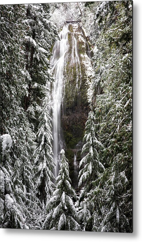 Falls Metal Print featuring the photograph Winter at Proxy Falls by Alex Mironyuk
