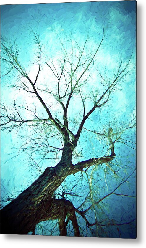 Blue Metal Print featuring the photograph Winter Tree Blue by James BO Insogna