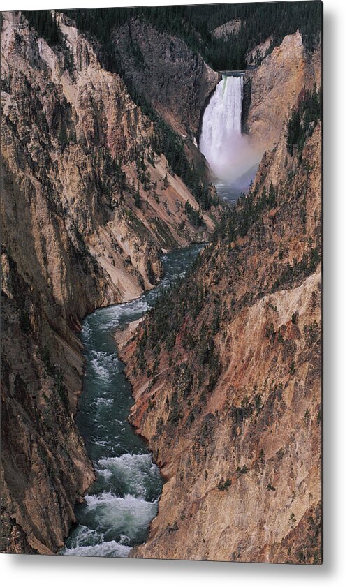 Scenics Metal Print featuring the photograph Yellowstone Canyon by Theo Allofs