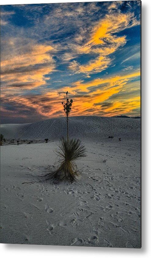 White Sands Metal Print featuring the photograph Yucca Sunset Skies at White Sands, New Mexico by Chance Kafka