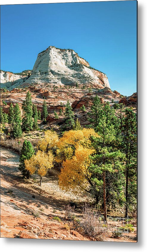 Zion National Park Metal Print featuring the photograph Zion Autumn White Peak and Yellow Leaves by Aloha Art