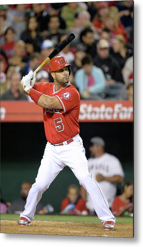 American League Baseball Metal Print featuring the photograph Albert Pujols #1 by Harry How