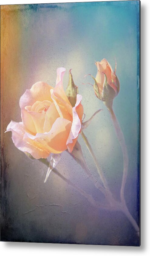 Blooms Metal Print featuring the photograph Beautiful Yellow Roses #1 by Sue Leonard