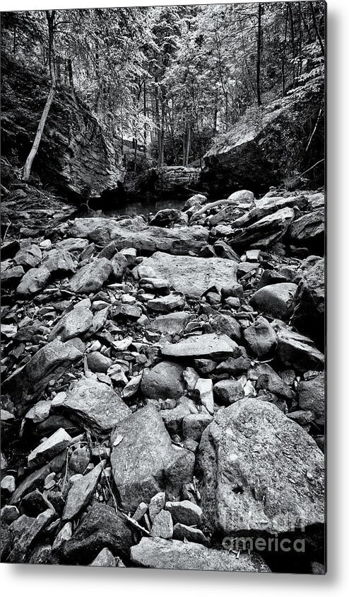 Tennessee Metal Print featuring the photograph Black and White Rocks #1 by Phil Perkins