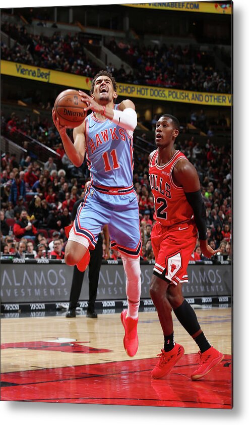 Trae Young Metal Print featuring the photograph Kris Dunn by Gary Dineen