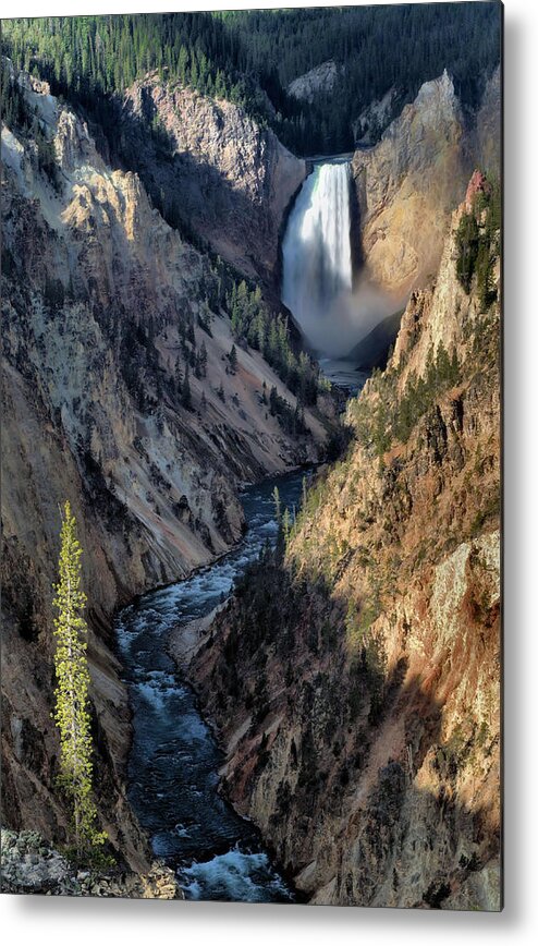Yellowstone Metal Print featuring the photograph Lower Yellowstone Falls #1 by Stephen Vecchiotti