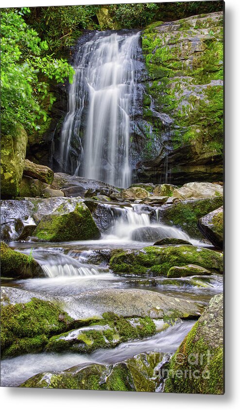 Smoky Mountains Metal Print featuring the photograph Meigs Falls 9 by Phil Perkins