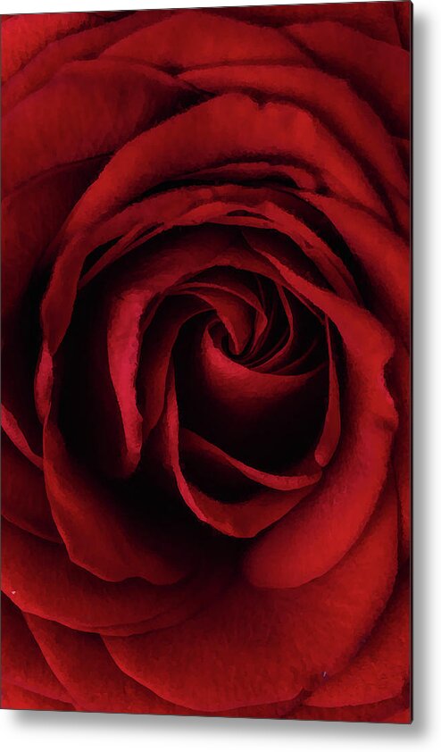 Red Metal Print featuring the mixed media Red Rose #1 by Vintage Collectables