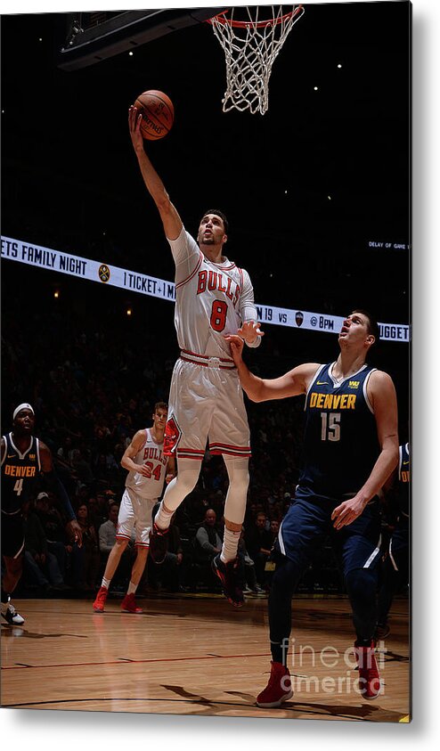Chicago Bulls Metal Print featuring the photograph Zach Lavine by Bart Young
