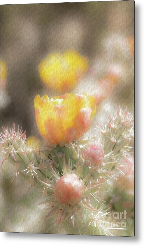 Cactus Metal Print featuring the photograph 1626 Watercolor Cactus Blossom by Kenneth Johnson
