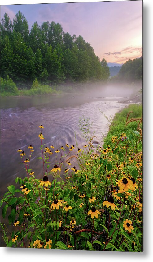 Wildflowers Metal Print featuring the photograph Little Piney Creek by Robert Charity