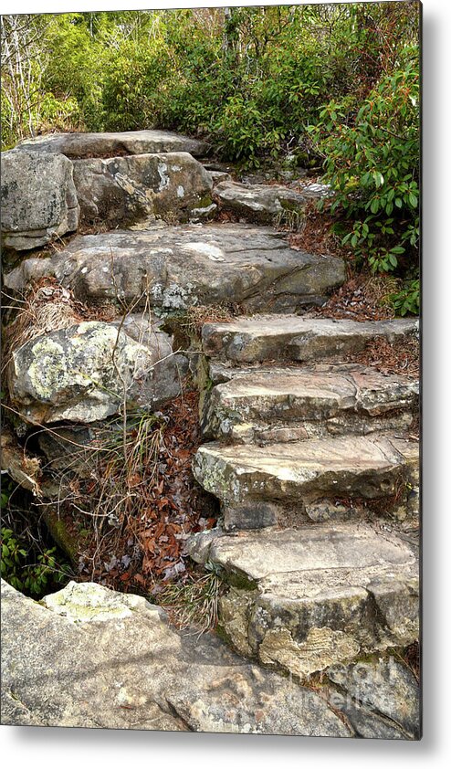 Hike Metal Print featuring the photograph Steps Into The Forest by Phil Perkins