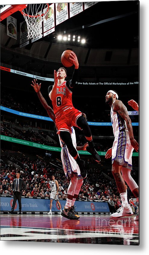 Chicago Bulls Metal Print featuring the photograph Zach Lavine by Jeff Haynes