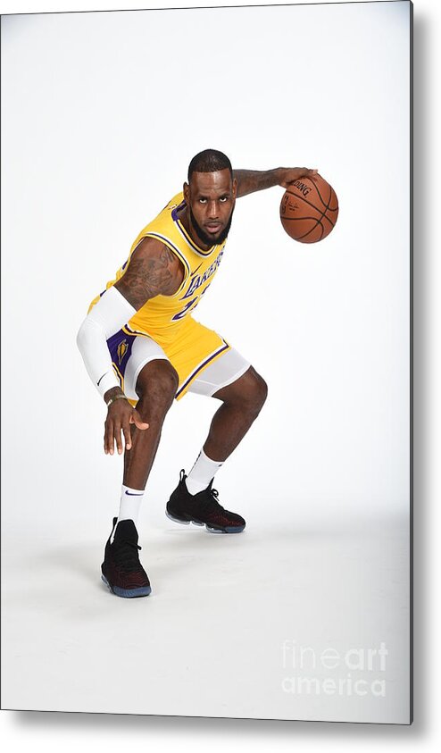 Media Day Metal Print featuring the photograph Lebron James by Andrew D. Bernstein