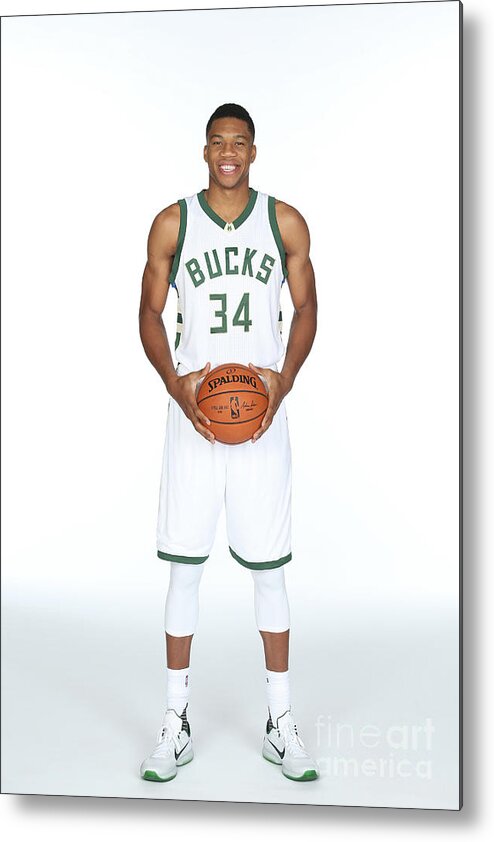 Media Day Metal Print featuring the photograph Giannis Antetokounmpo #3 by Gary Dineen