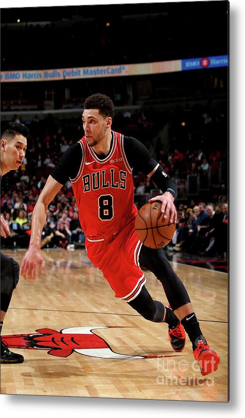 Chicago Bulls Metal Print featuring the photograph Zach Lavine by Gary Dineen