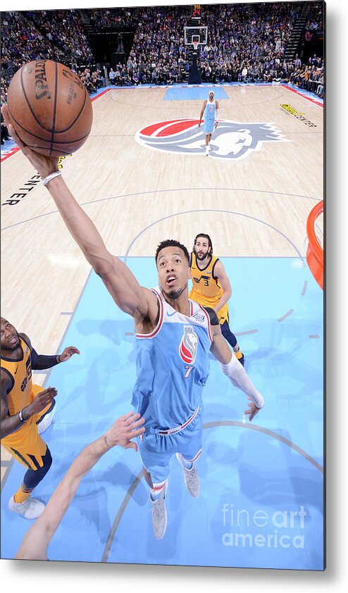 Skal Labissiere Metal Print featuring the photograph Skal Labissiere by Rocky Widner