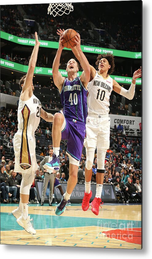 Nba Pro Basketball Metal Print featuring the photograph Cody Zeller by Kent Smith