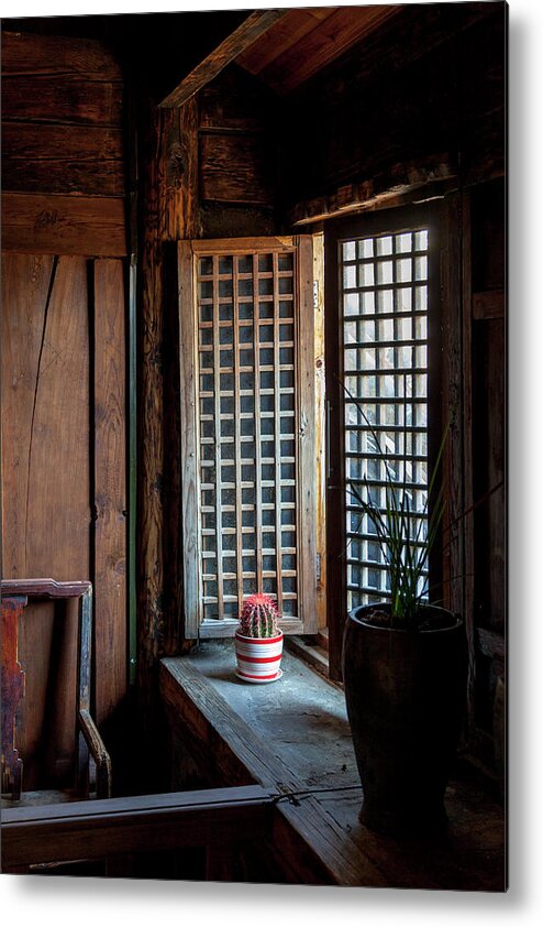 China Metal Print featuring the photograph A Cactus in a Chinese Window by W Chris Fooshee