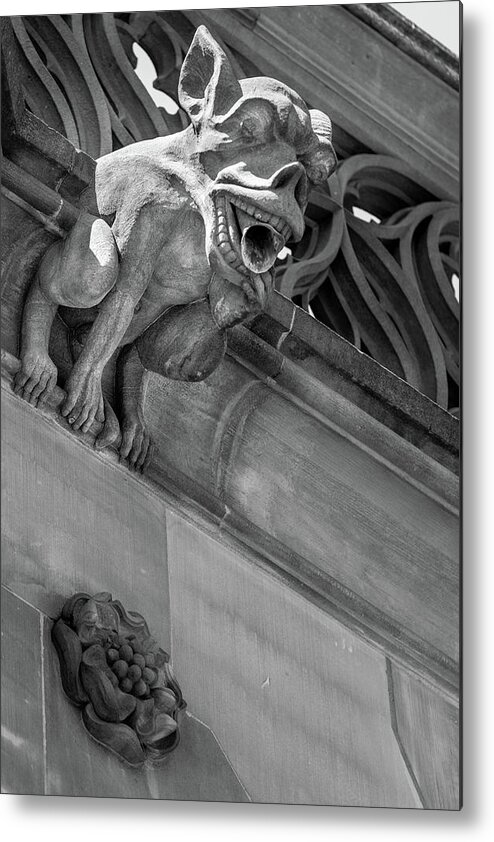 Architecture Metal Print featuring the photograph A Gargoyle in Strasbourg - 1 by W Chris Fooshee