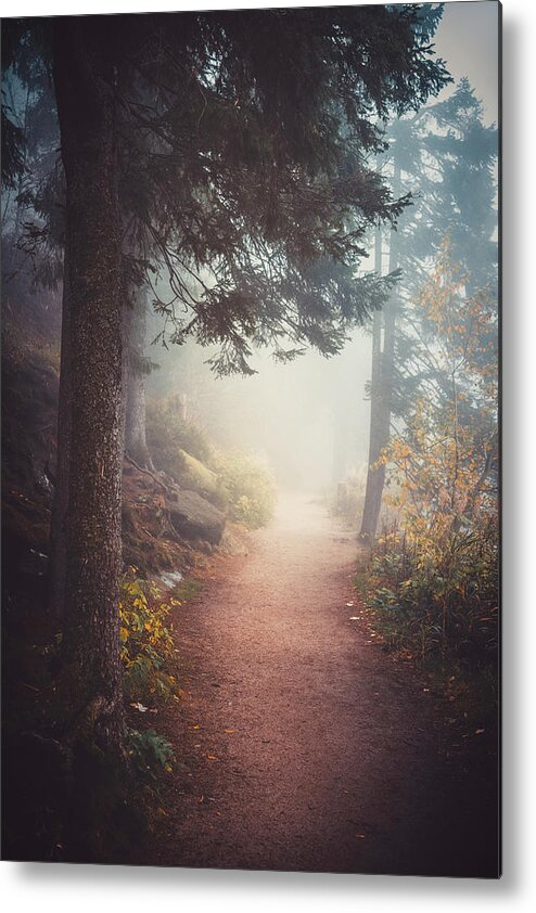 Autumn Metal Print featuring the photograph A Journey in the Mist by Philippe Sainte-Laudy