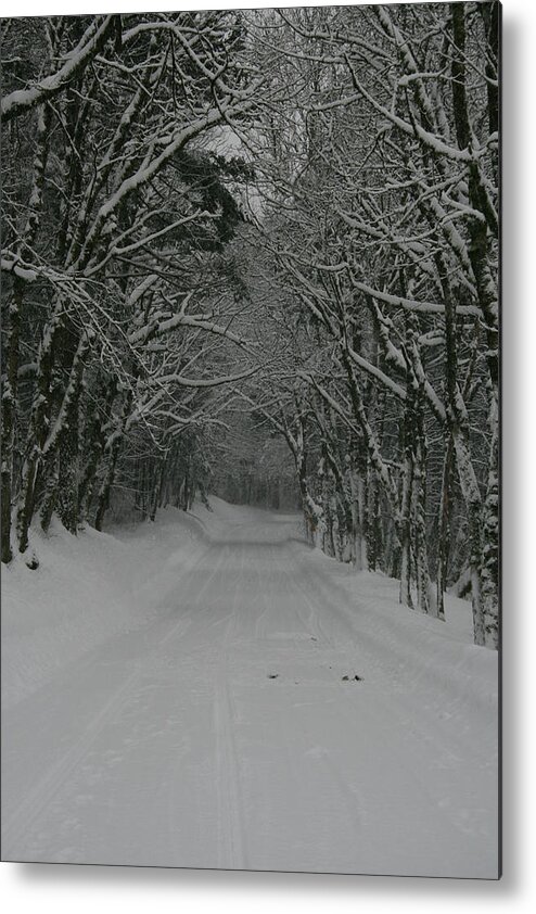Snow Metal Print featuring the photograph A Snowy Road Less Travelled by Leslie Struxness