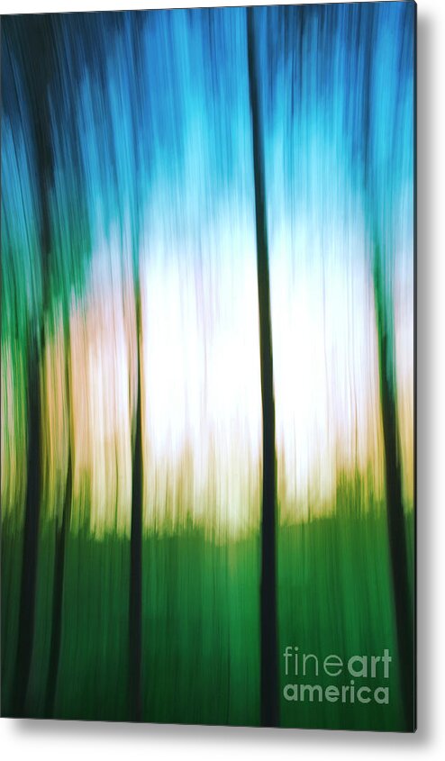 Abstract Metal Print featuring the photograph Abstract woodland by Vicente Sargues