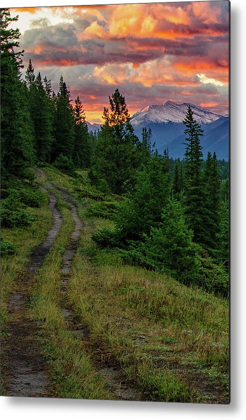 Banff National Park Metal Print featuring the photograph All Roads Lead to Home by Darlene Bushue