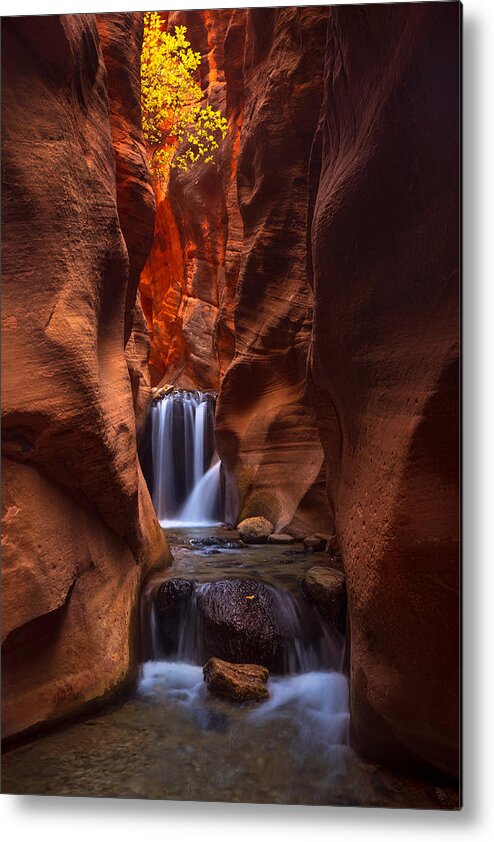 Canyon Metal Print featuring the photograph Allure by Ryan Smith