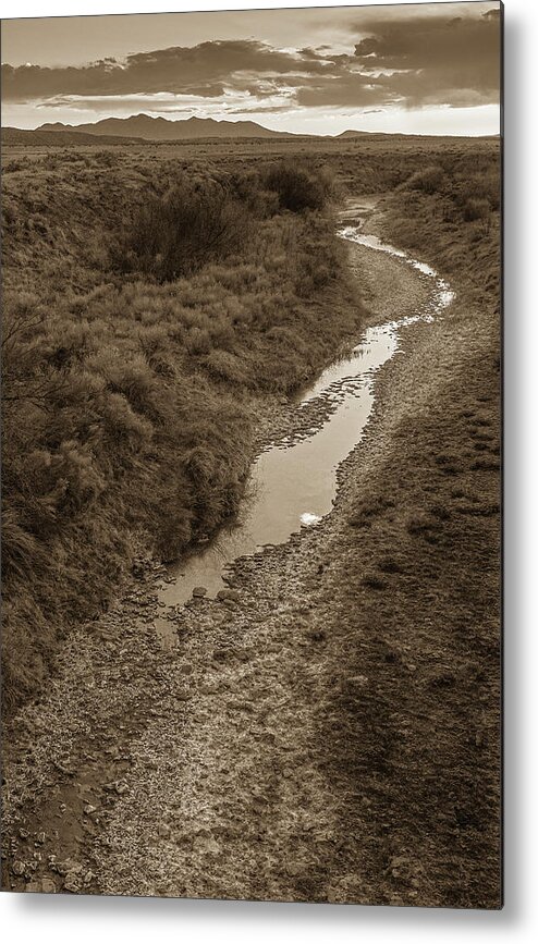 New Mexico Metal Print featuring the photograph Arroyo by Maresa Pryor-Luzier